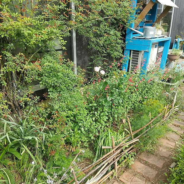 Mikaさんの部屋