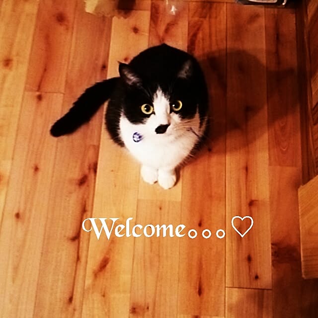 Chomeakiさんの実例写真