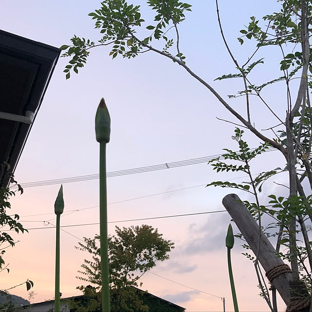 chi_8777さんの実例写真