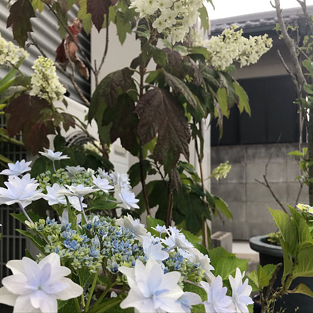 kemukujyaraさんの実例写真