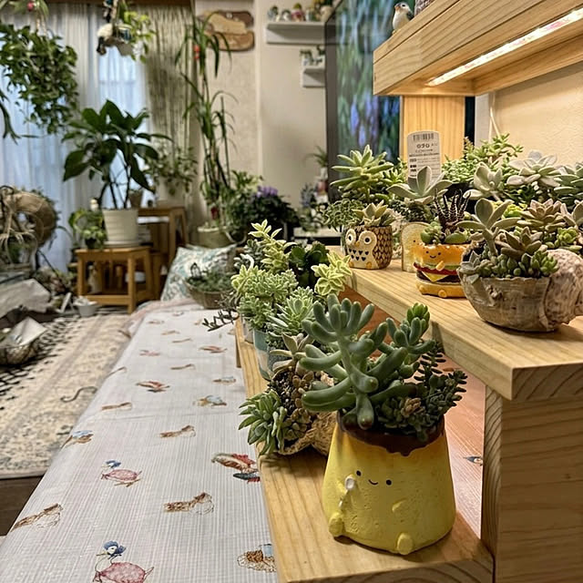 Aqettyさんの部屋