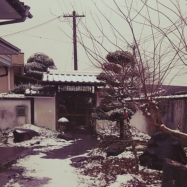 kuromiさんの実例写真
