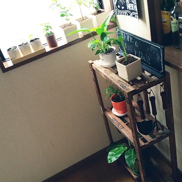 annさんの実例写真