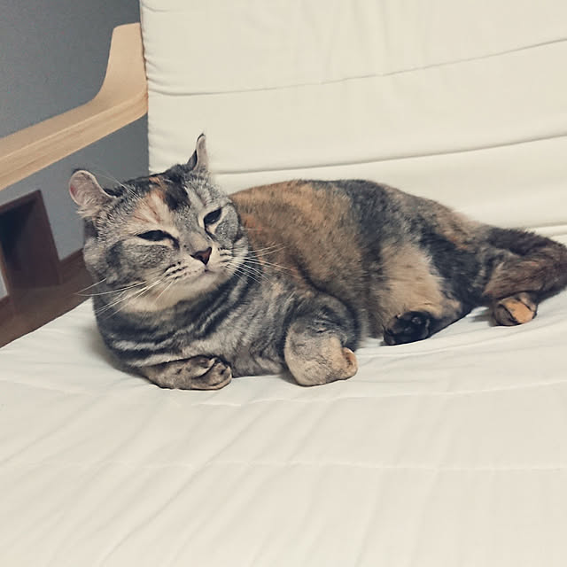 chiiiiikaさんの実例写真