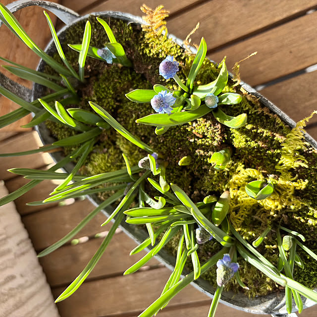 kyoko1124koさんの部屋