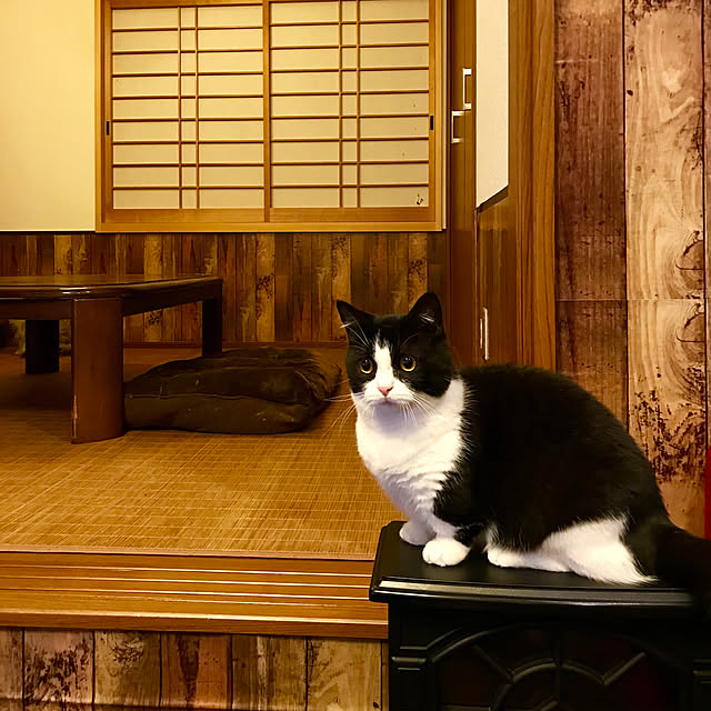 butachanさんの実例写真