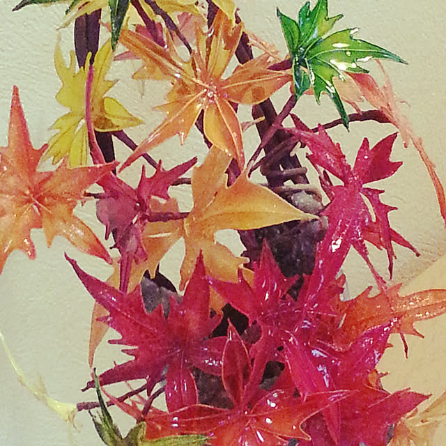 kaochanさんの実例写真