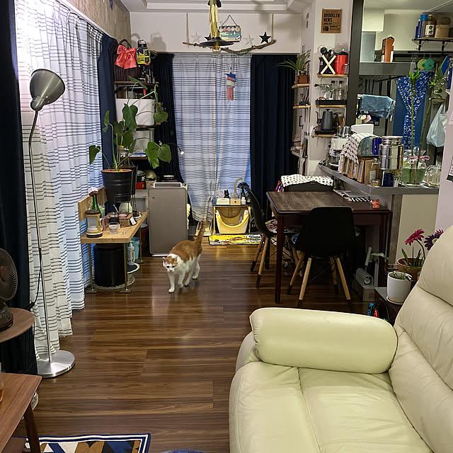 porinさんの実例写真
