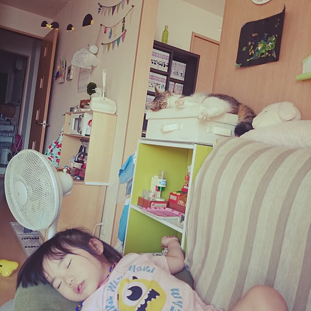 teruichiさんの実例写真