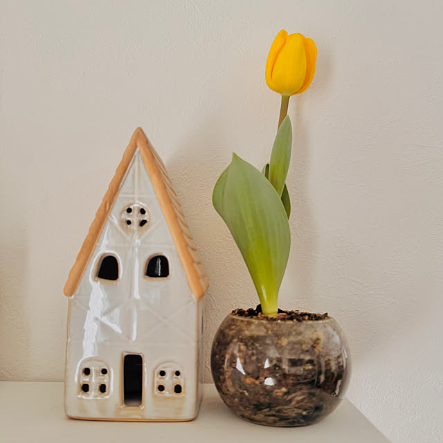 hamahamaさんの実例写真