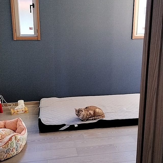 5858さんの実例写真