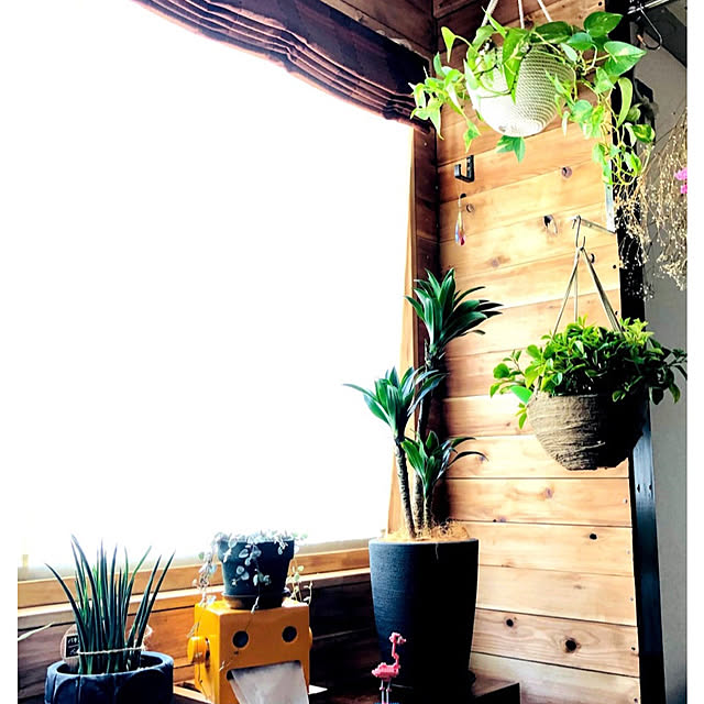 omasaさんの部屋