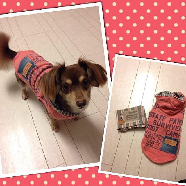 rikakoさんの実例写真