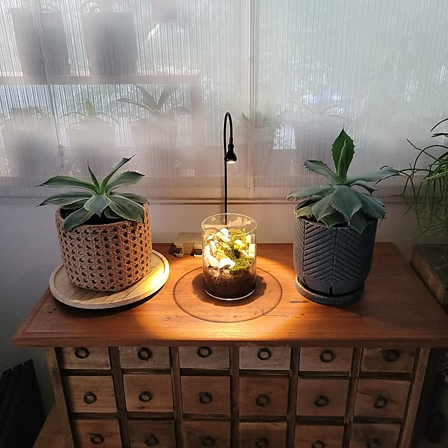 masarinn.さんの実例写真