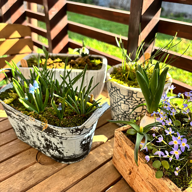 kyoko1124koさんの部屋