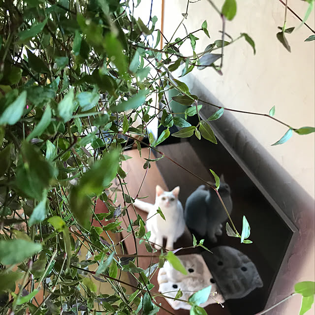 sakurasakuさんの実例写真