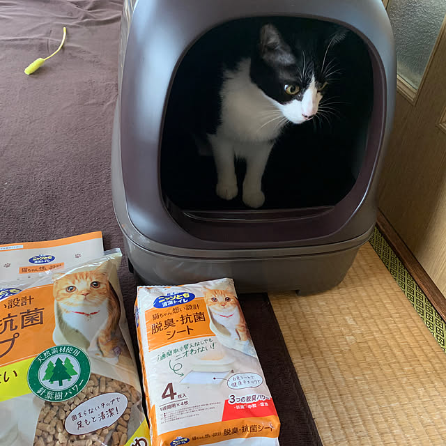 nanohanaさんの実例写真