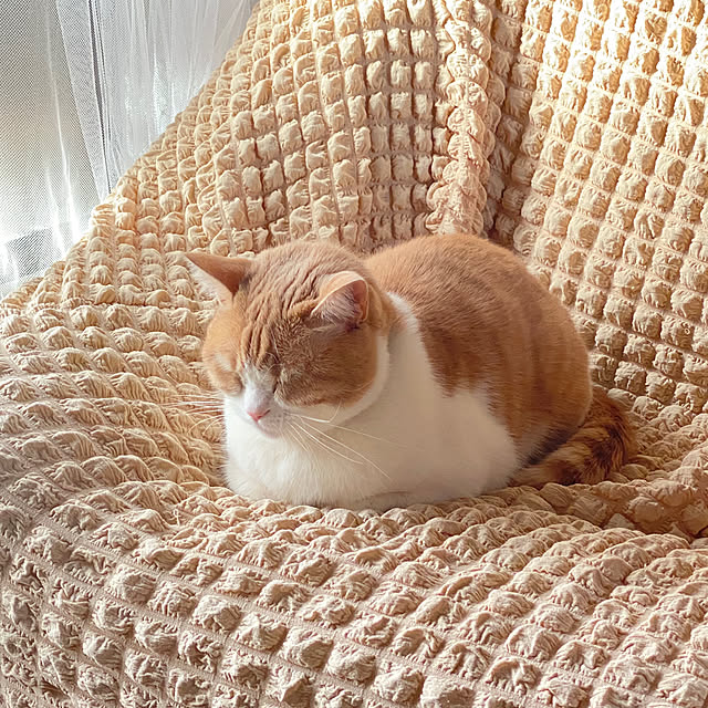 mintteaさんの部屋