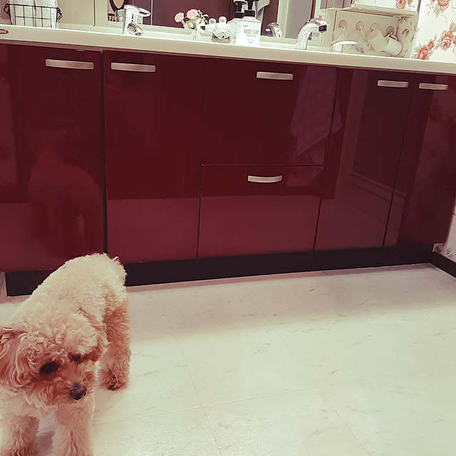 ROSEさんの実例写真