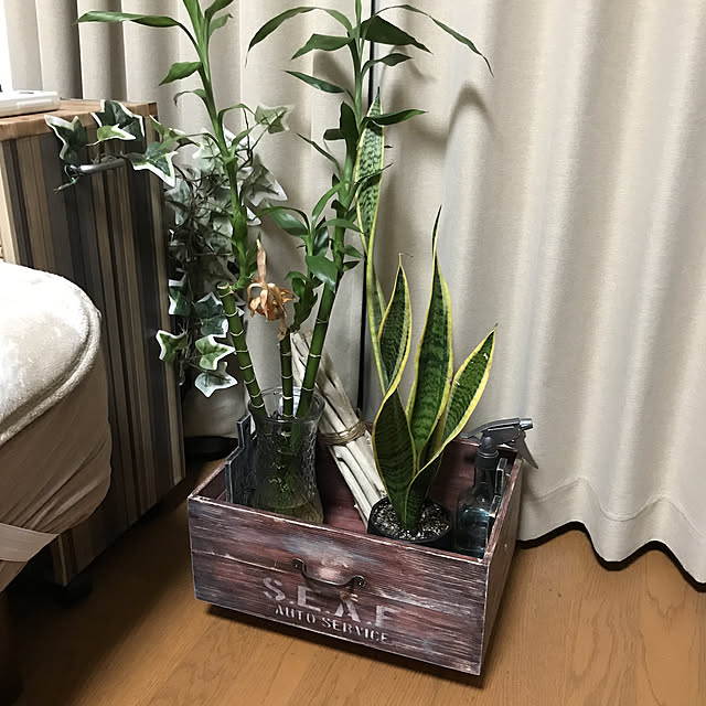 923さんの実例写真