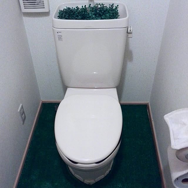 koicanさんの実例写真