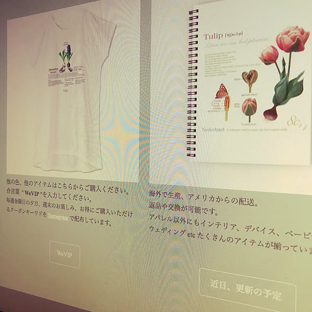 weさんの実例写真