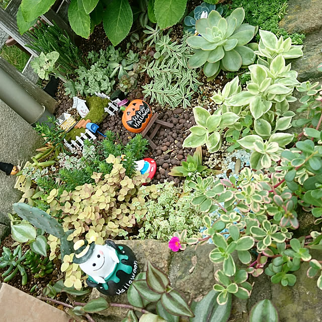 keyさんの実例写真