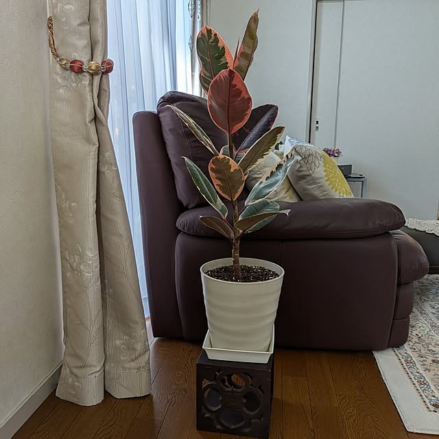 Renさんの部屋