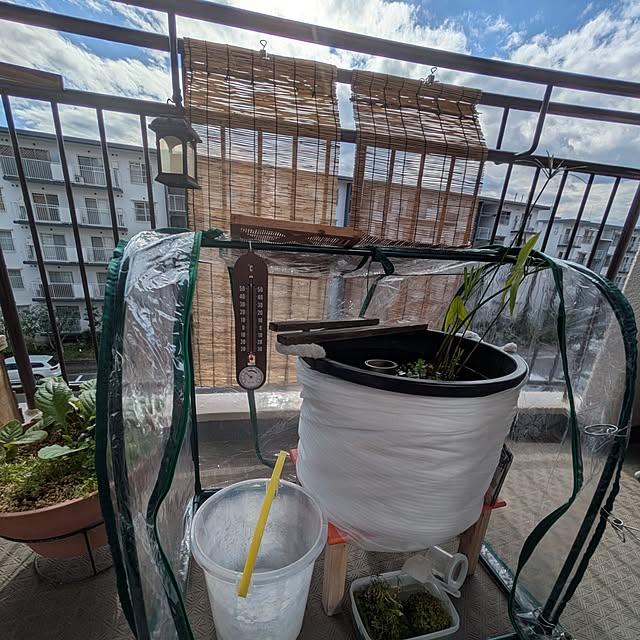 mi-saさんの部屋