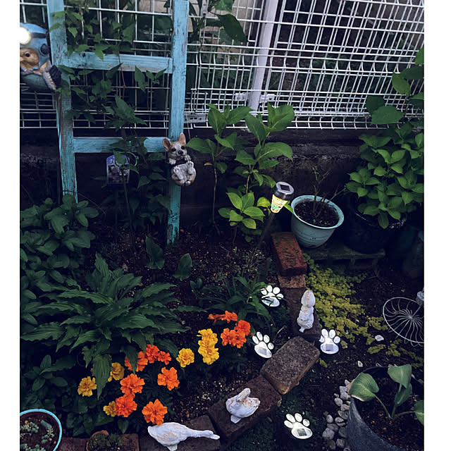 CoCo0617さんの部屋