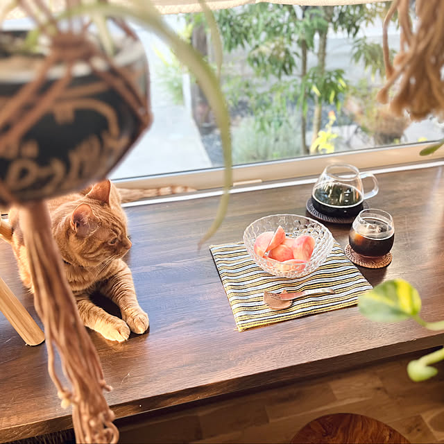 Maruさんの実例写真