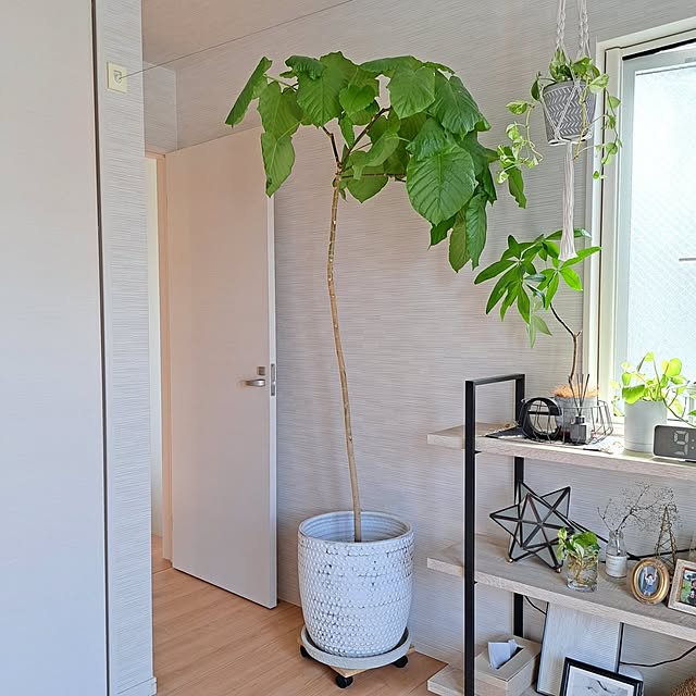 Jijiさんの部屋