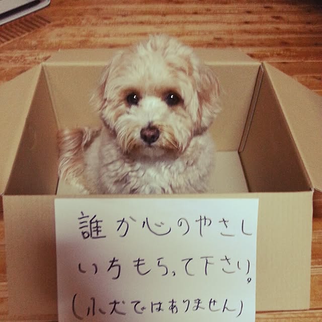 makaronさんの実例写真
