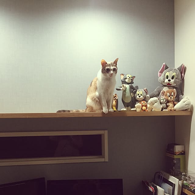 Yoshieさんの実例写真