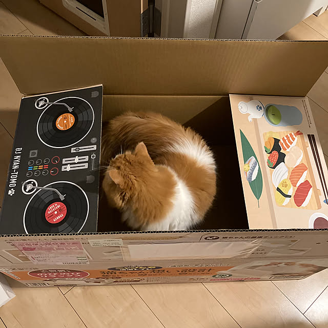 H.Tさんの部屋