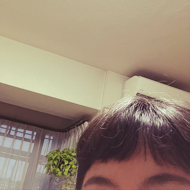 uchidaizuさんの実例写真