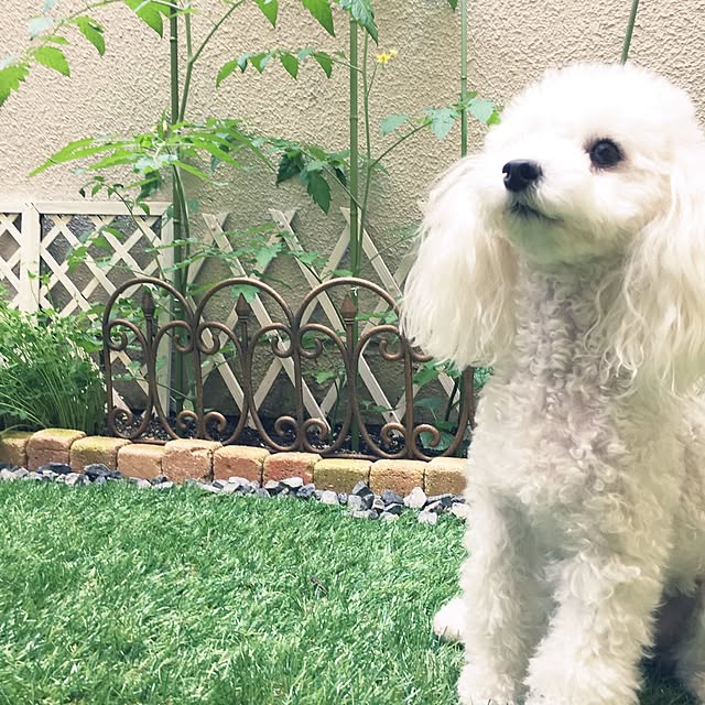 sei.hugさんの実例写真