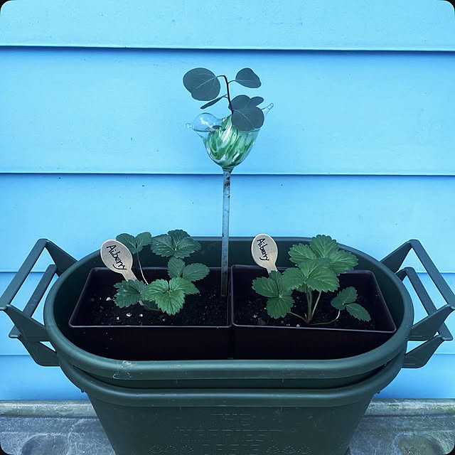 Ohigeさんの実例写真