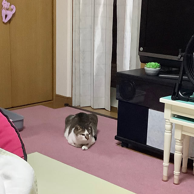 haruminさんの部屋