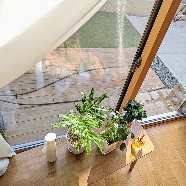 tomatopapaさんの部屋