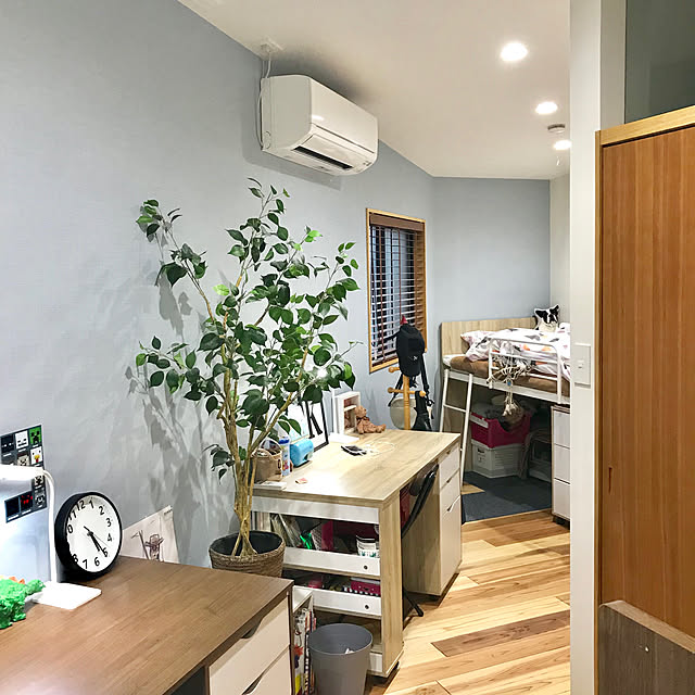 杉無垢床/子ども部屋/子どものいる暮らし/観葉植物/ロフトのある家...などのインテリア実例 - 2020-03-17 20:59:56