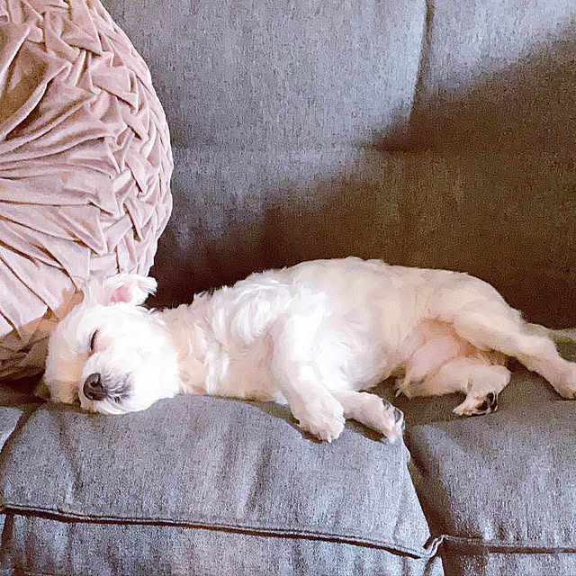 relaxsunさんの実例写真