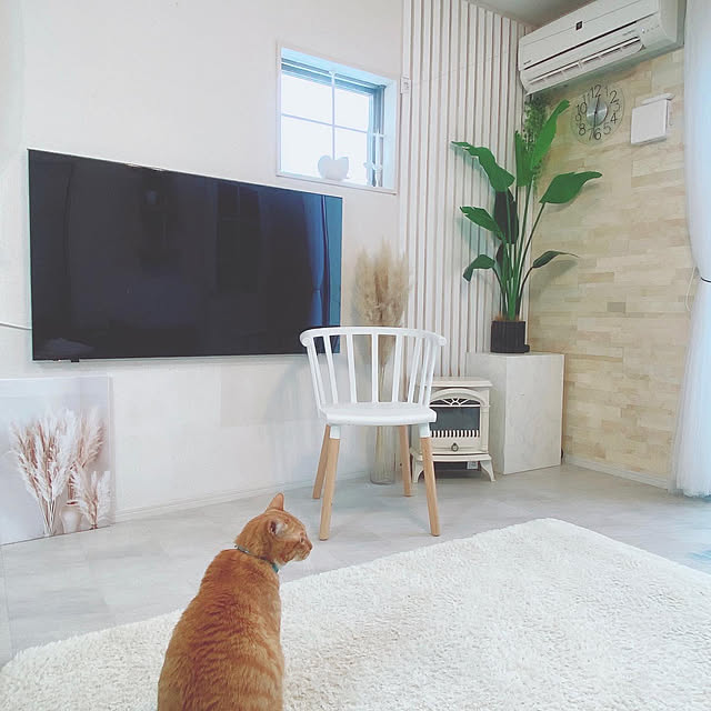 mii_home_39さんの実例写真