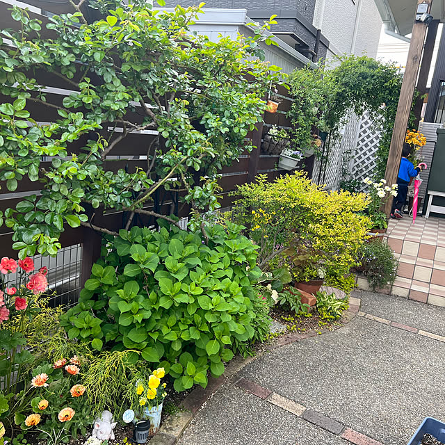 hinamamaさんの部屋