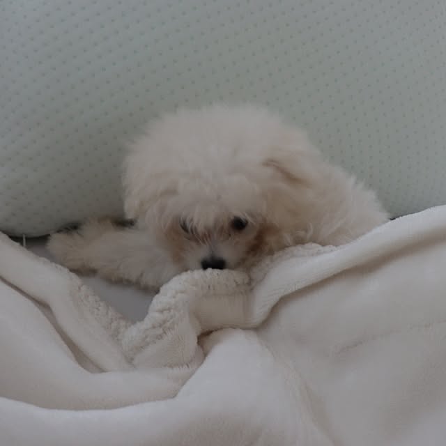 manaさんの部屋