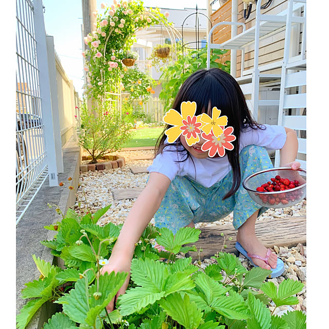 Michiさんの実例写真