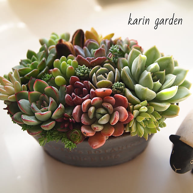 karinさんの実例写真