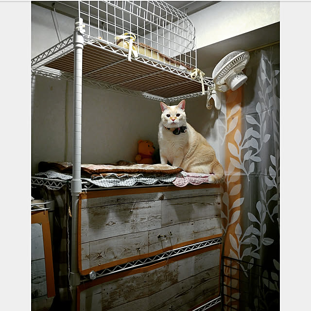 mntcさんの実例写真
