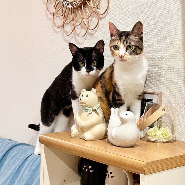 Miyu_さんの部屋