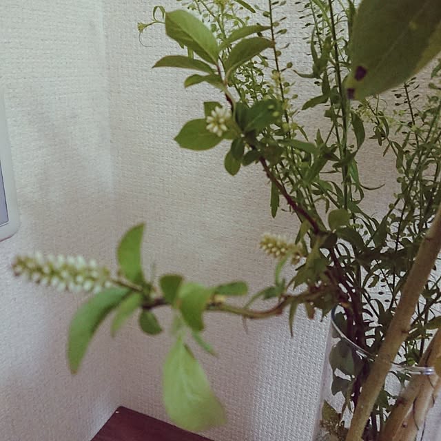 hopkeiさんの実例写真